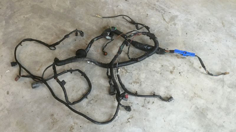 The offending wiring harness.